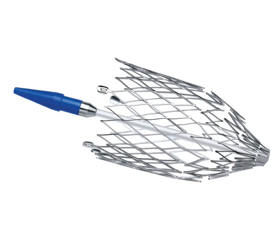 Atlas Aort Nitinol Stent